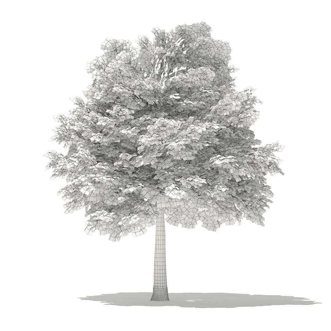3D model volume 76 trees x https://p.turbosquid.com/ts-thumb/MY/6aVxwr/s4vlrj4T/cgaxis_models_76_05agrid/jpg/1499713161/1920x1080/fit_q87/6ab98991129c881448518c435355b392887a885c/cgaxis_models_76_05agrid.jpg