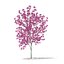 Modèles CGAxis Volume 76 Arbres X