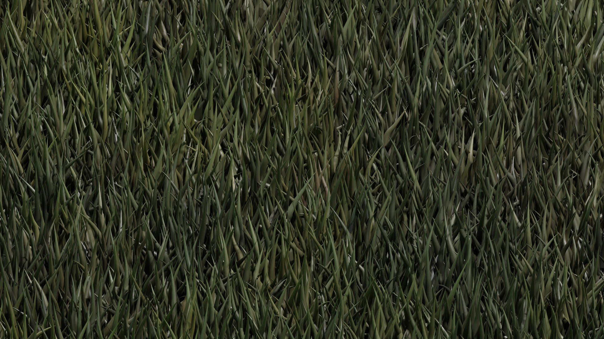 Grass Model - TurboSquid 2054717