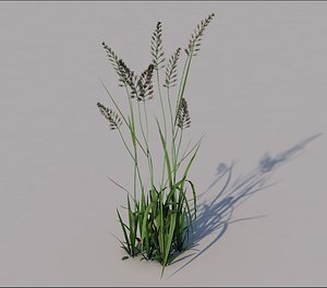 3D model grass - TurboSquid 1471557