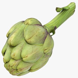 Artichoke 01