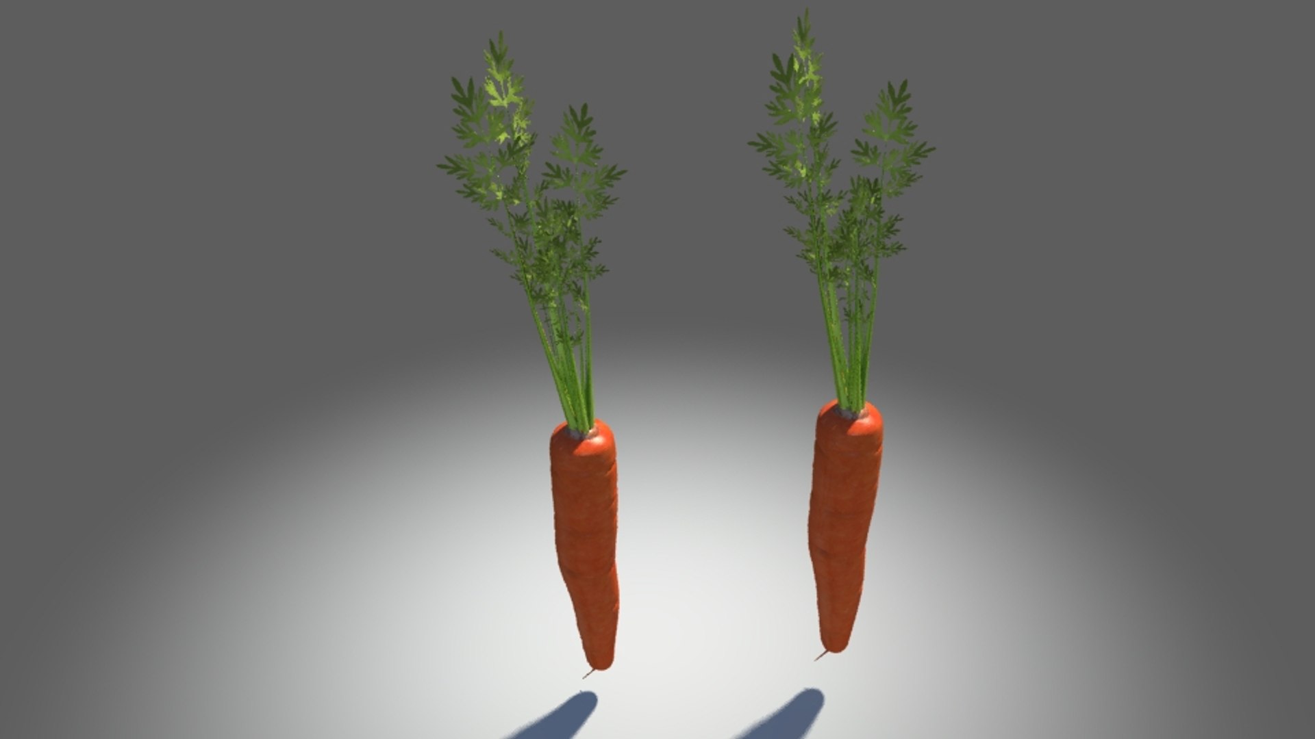 3d carrot https://p.turbosquid.com/ts-thumb/MY/UWO5Ju/3mja8UZx/1/jpg/1462550300/1920x1080/fit_q87/1b7f6a1261af3361f71e1b68567c53576f734209/1.jpg