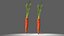 carottes