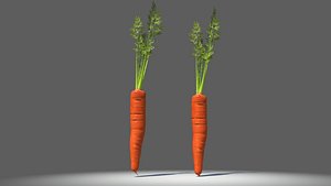 Carrots