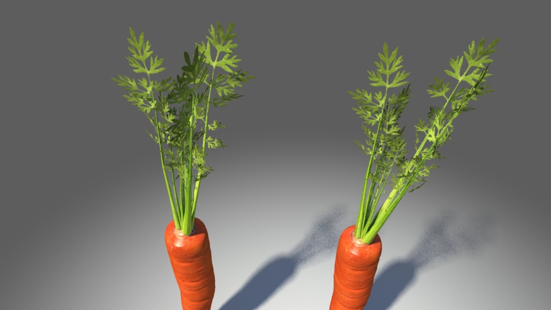 3d carrot https://p.turbosquid.com/ts-thumb/MY/UWO5Ju/sgYJVcme/3/jpg/1462550300/1920x1080/fit_q87/8dbe13a821e85a891b798cb77bab1dc150d0a485/3.jpg