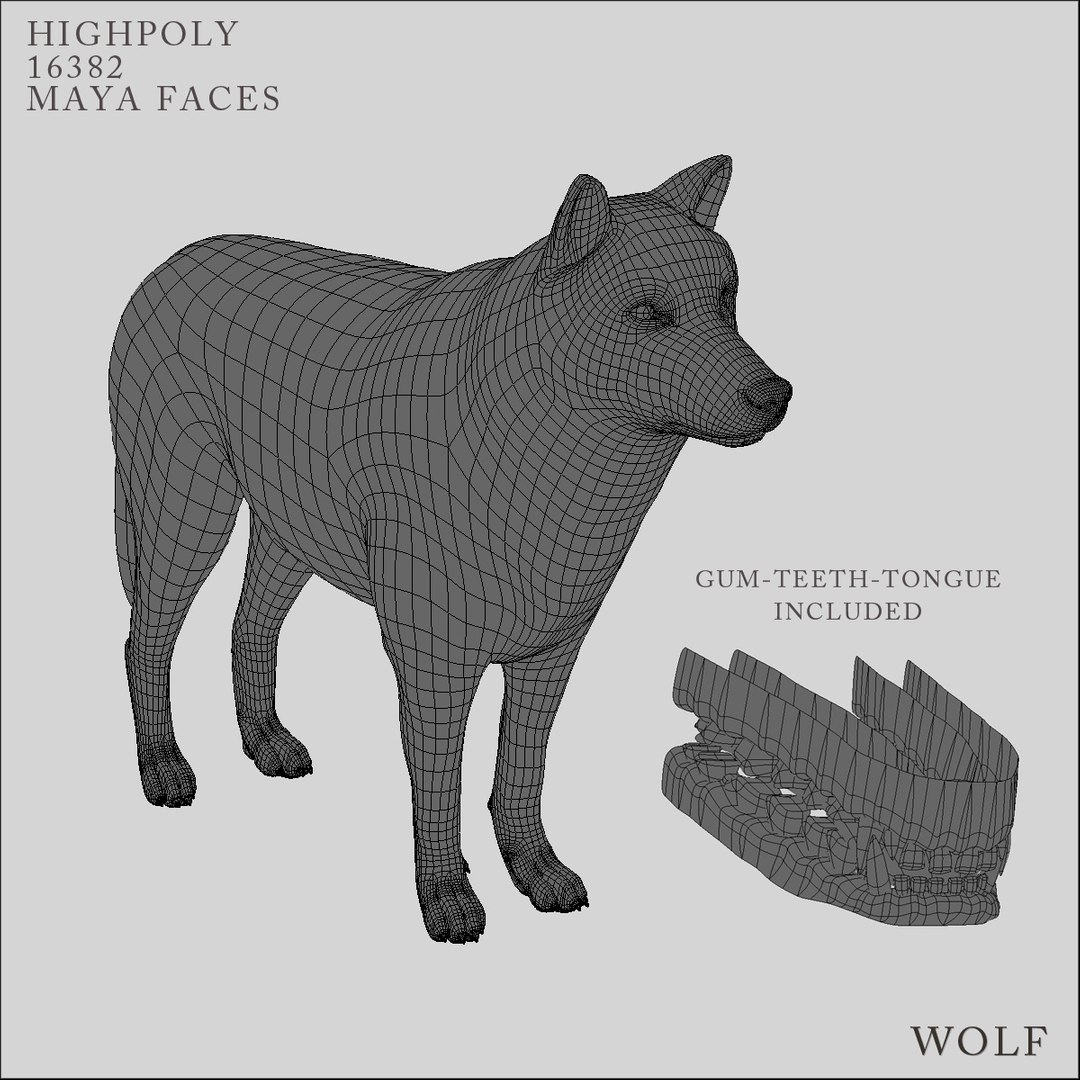 wolf modeled 3d model https://p.turbosquid.com/ts-thumb/MY/YYk1az/7XGRL4UG/hd6/jpg/1296293169/1920x1080/fit_q87/b32a297e3f536728a2f45b33db517862ea5f5362/hd6.jpg