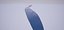 Kukri Knife