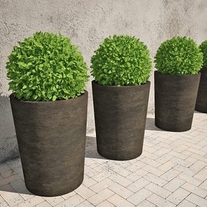 3d shrub pots model
