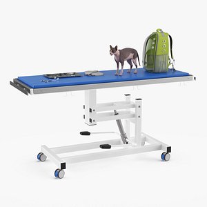 Veterinary Examination