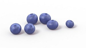 Blueberries Blueberry