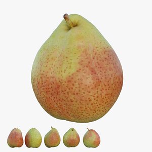 Cheeky pear 02 model