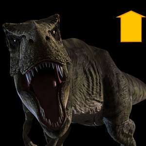 3D t rex animal -