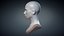 Female Bust Base Mesh Sculpture