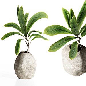 3D Bouquet40 model