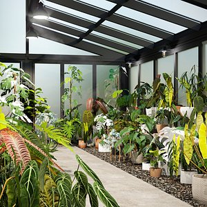 Bundle 15 Interior Plants