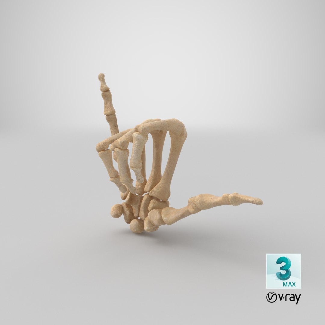 human hand bones hang model https://p.turbosquid.com/ts-thumb/MZ/7lEVRD/155cQXbl/stemcell_max_vray_render/png/1605281650/1920x1080/fit_q87/20215b5aeb7e0365642fdd4ff1fa823c0f0f892b/stemcell_max_vray_render.jpg