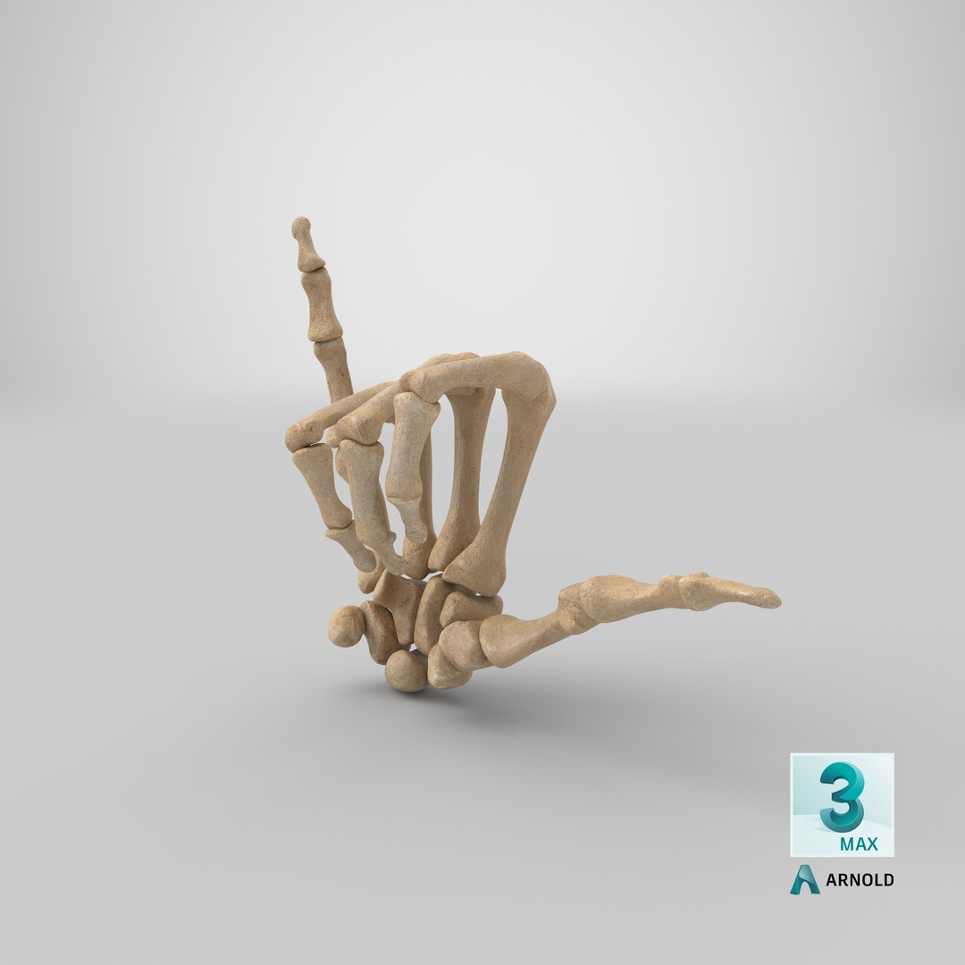 human hand bones hang model https://p.turbosquid.com/ts-thumb/MZ/7lEVRD/aASzPZtg/stemcell_max_arnold_render/png/1605281638/1920x1080/fit_q87/743c334689ebc2c010e009c1a8ac4c782eabd898/stemcell_max_arnold_render.jpg