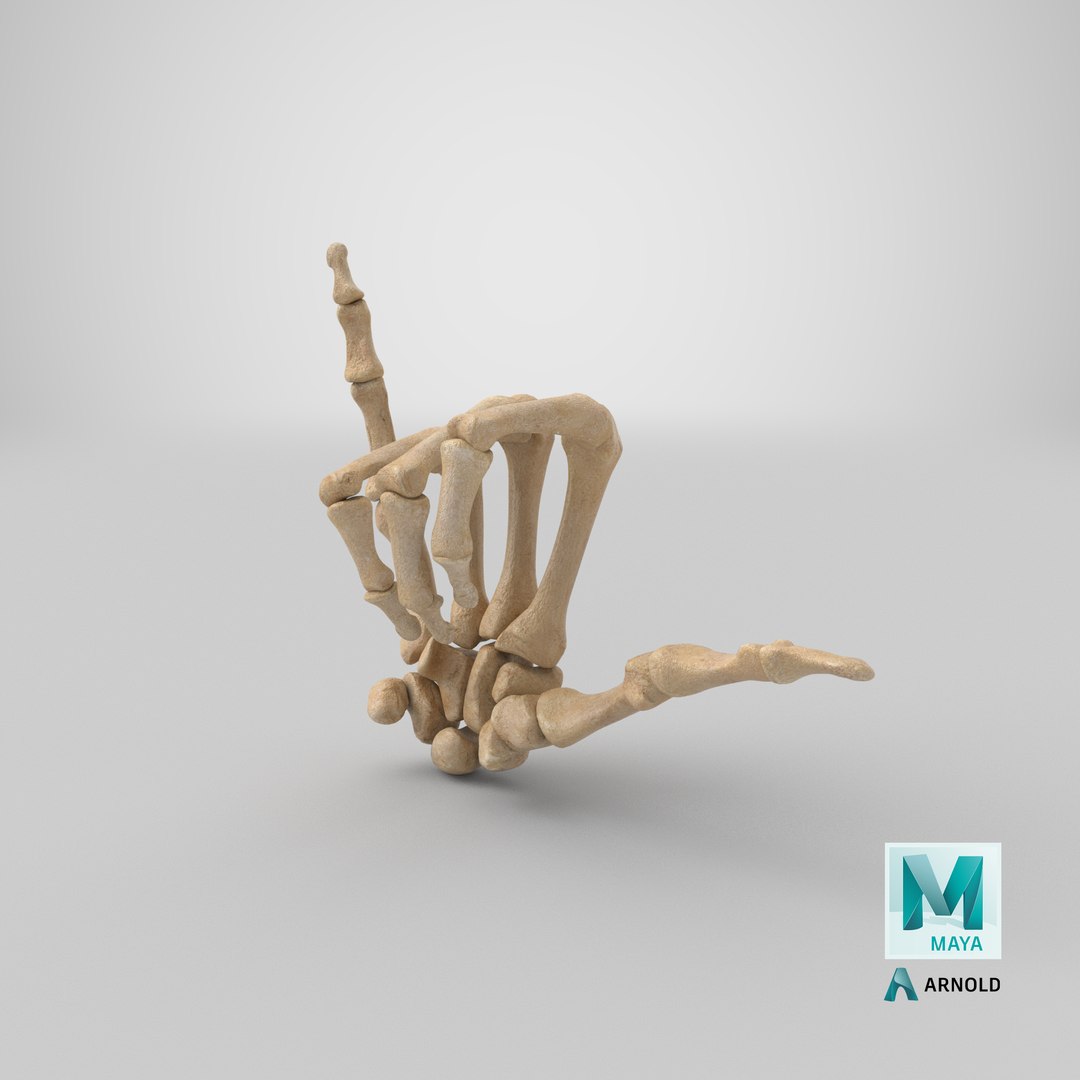 human hand bones hang model https://p.turbosquid.com/ts-thumb/MZ/7lEVRD/fbBVV6Hn/stemcell_maya_arnold_render/png/1605281654/1920x1080/fit_q87/7a4e2c1c15bc5df6d85518bd2419737046b98516/stemcell_maya_arnold_render.jpg