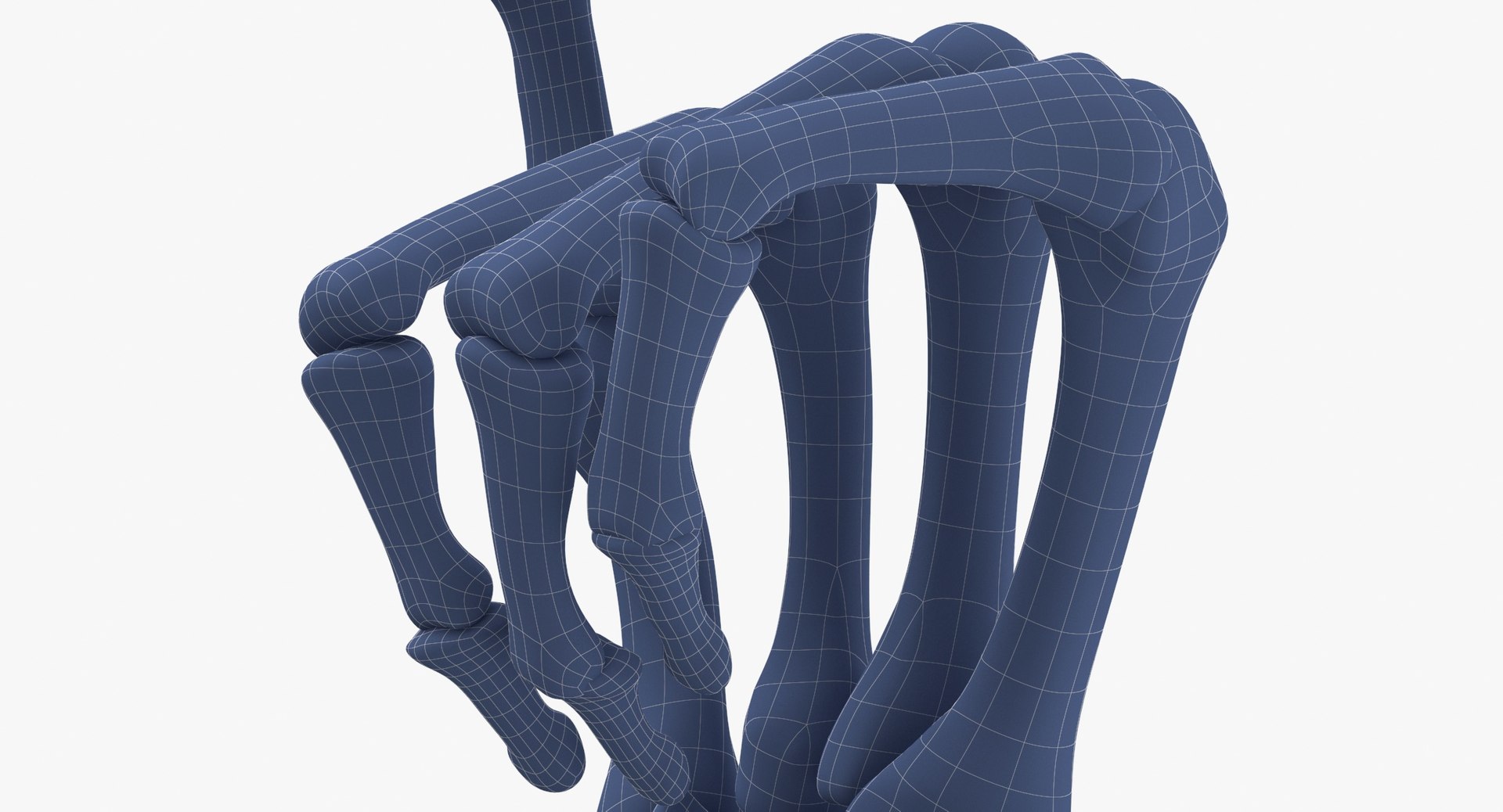 human hand bones hang model https://p.turbosquid.com/ts-thumb/MZ/7lEVRD/wJqv8dLg/human_hand_bones_hang_loose_sign_wireframe_0008/jpg/1598264047/1920x1080/fit_q87/d42b63e4bbc6dbf3009f88da1d564959fb156c74/human_hand_bones_hang_loose_sign_wireframe_0008.jpg
