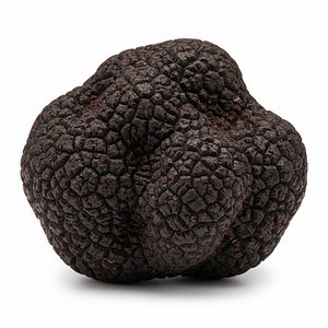 Highly Detailed Truffle