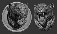 Lioness grin roar