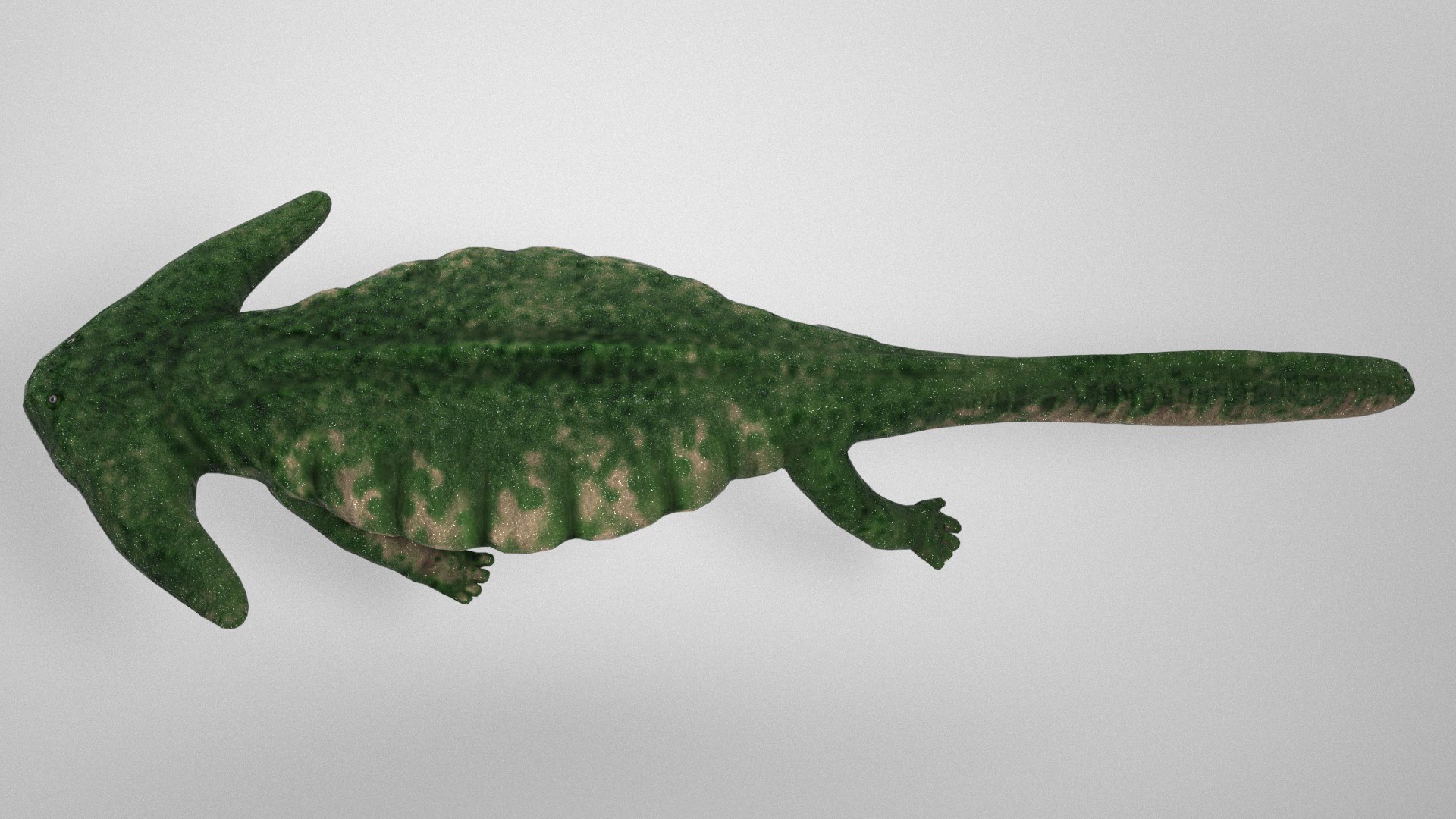 3D model Diplocaulus https://p.turbosquid.com/ts-thumb/MZ/JgT5fK/M0/beauty0008/jpg/1648679582/1920x1080/fit_q87/4f0ce2143f6cc7ddf6a8f135da1cc22a4ab2a1e0/beauty0008.jpg