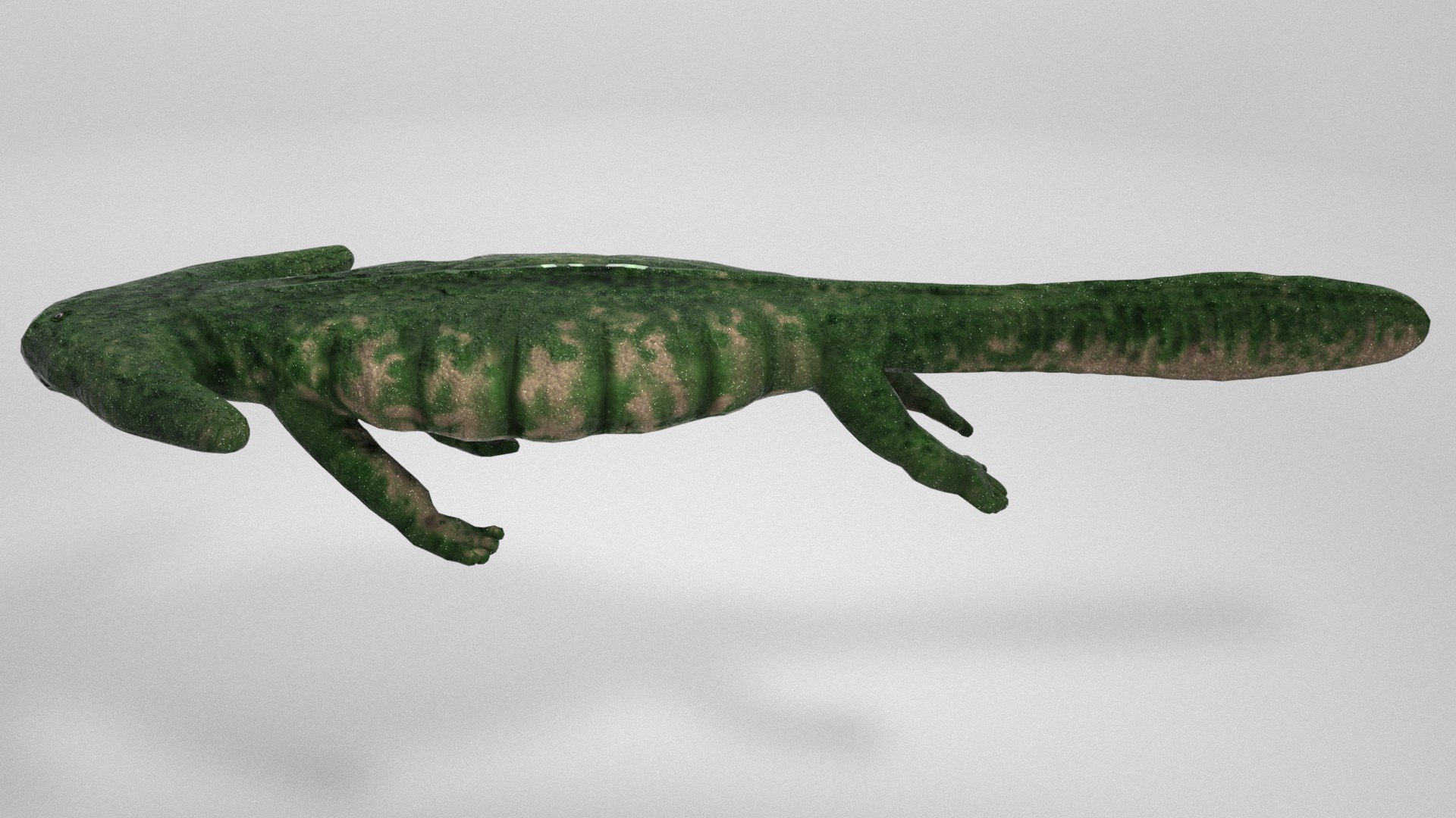 3D model Diplocaulus https://p.turbosquid.com/ts-thumb/MZ/JgT5fK/OS/beauty0005/jpg/1648679582/1920x1080/fit_q87/c4471ed9abed7a5b394e1c66ff174c358f328908/beauty0005.jpg