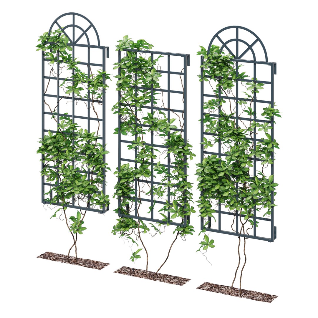 3D Wall Trellis One Model - TurboSquid 1915299