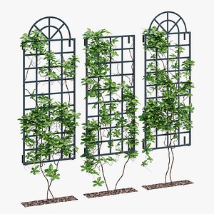 3D Wall trellis one model