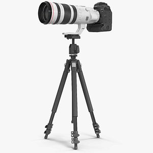 Canon EF 200 400mm Extender on Tripod