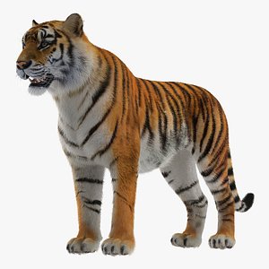 Bengal Tiger 700PCS+ 3D Metal Kits Assembly Model Building Animal Seri