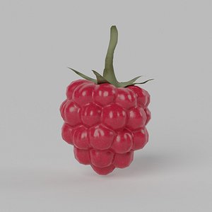 3D Raspberry