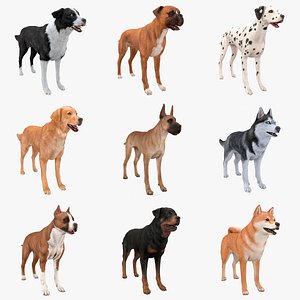 Dogs Rigged For Blender Collection 3D