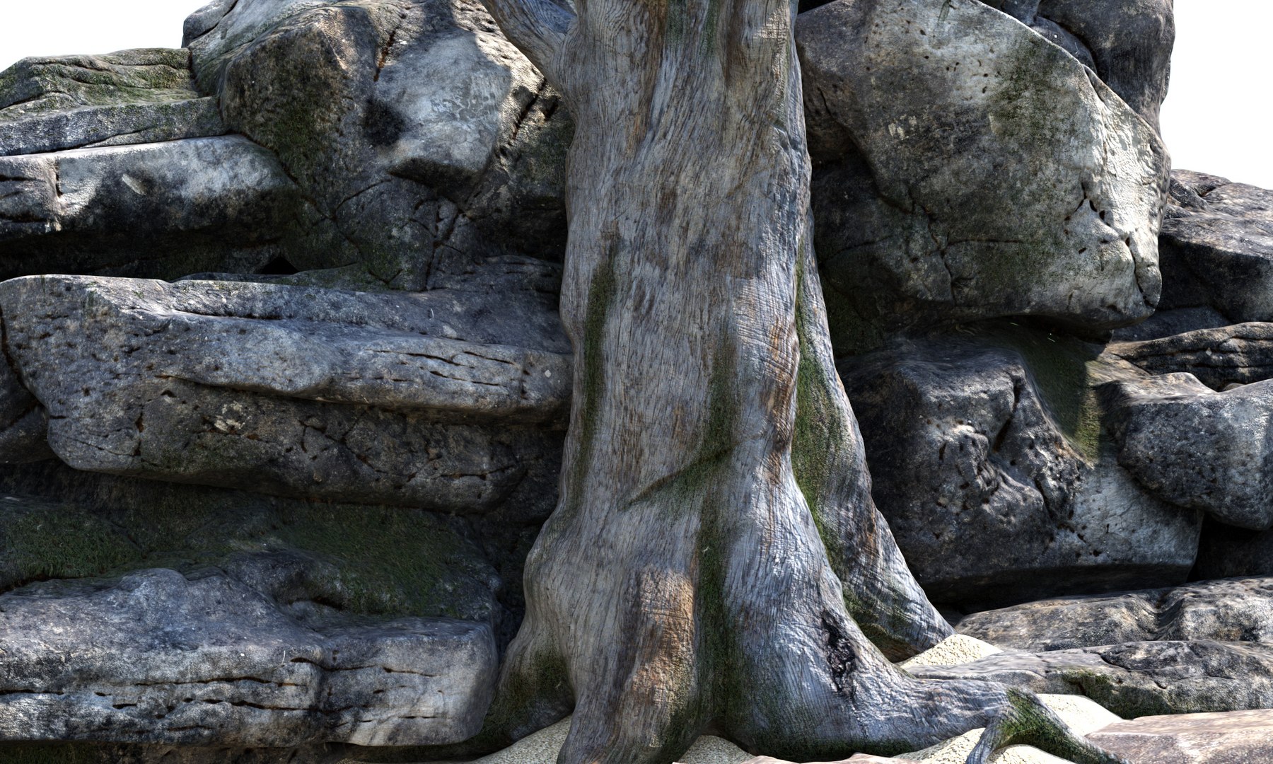 free rock tree 3d model https://p.turbosquid.com/ts-thumb/MZ/dMXvv8/K1wMjOWd/14/jpg/1482446775/1920x1080/fit_q87/6880732faf8662dbb4b5171a15fcc9ede8147820/14.jpg