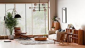 Casual Home Living Room
