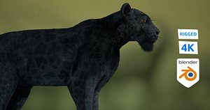 3D Black panther Jaguar Photorealistic Rigged 3d Blender 4K model model
