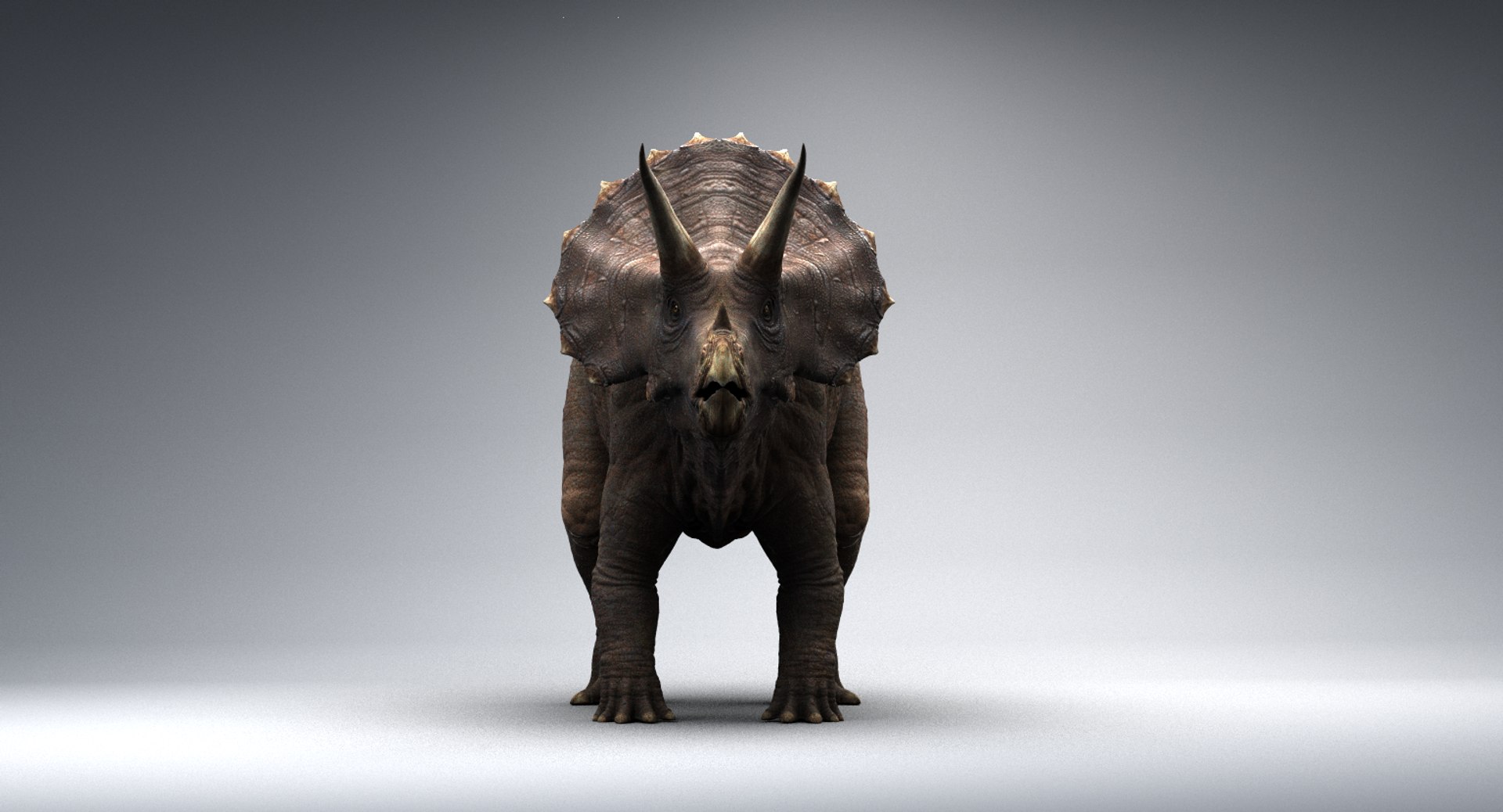 Jogo de Triceratops realista pronto baixo poli Modelo 3D $68