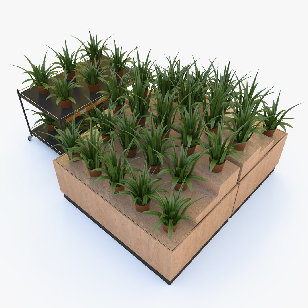 Flower Rack 3d Max