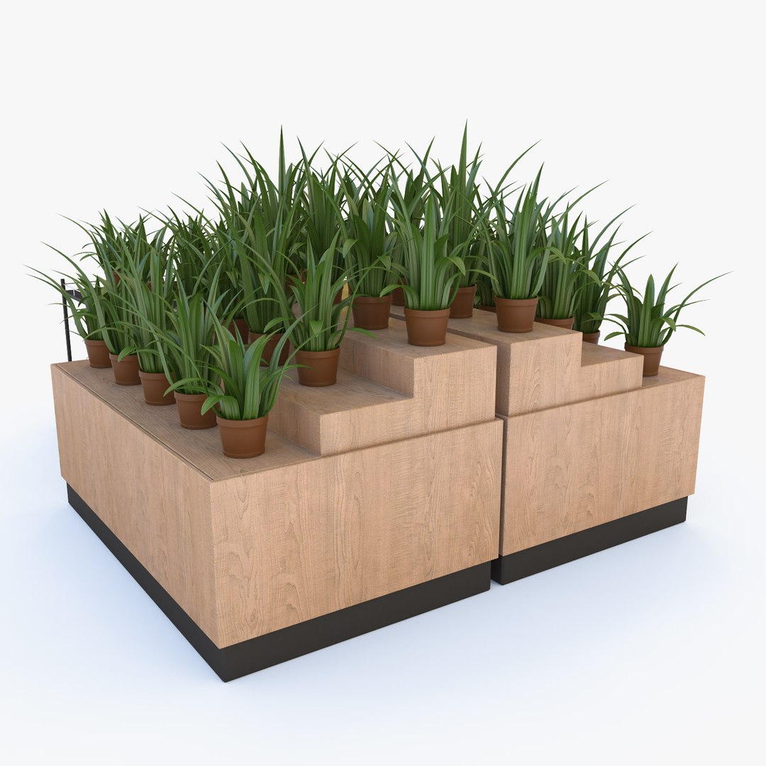 Flower Rack 3d Max