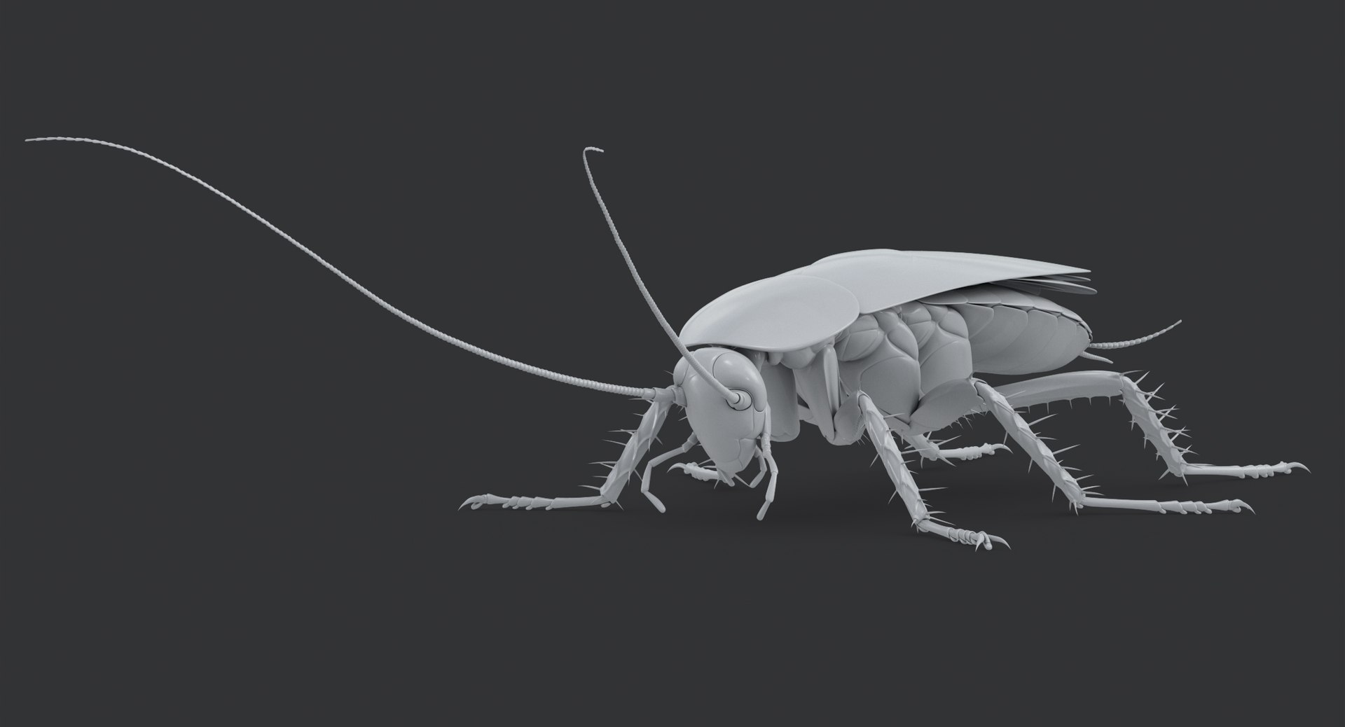 cockroach american 3D model https://p.turbosquid.com/ts-thumb/MZ/wWSOEr/8IYDeGQo/cockroach_american_00112/jpg/1499708585/1920x1080/fit_q87/49caa0b3748eee1862b0f5843c7a91bab1cc83a4/cockroach_american_00112.jpg