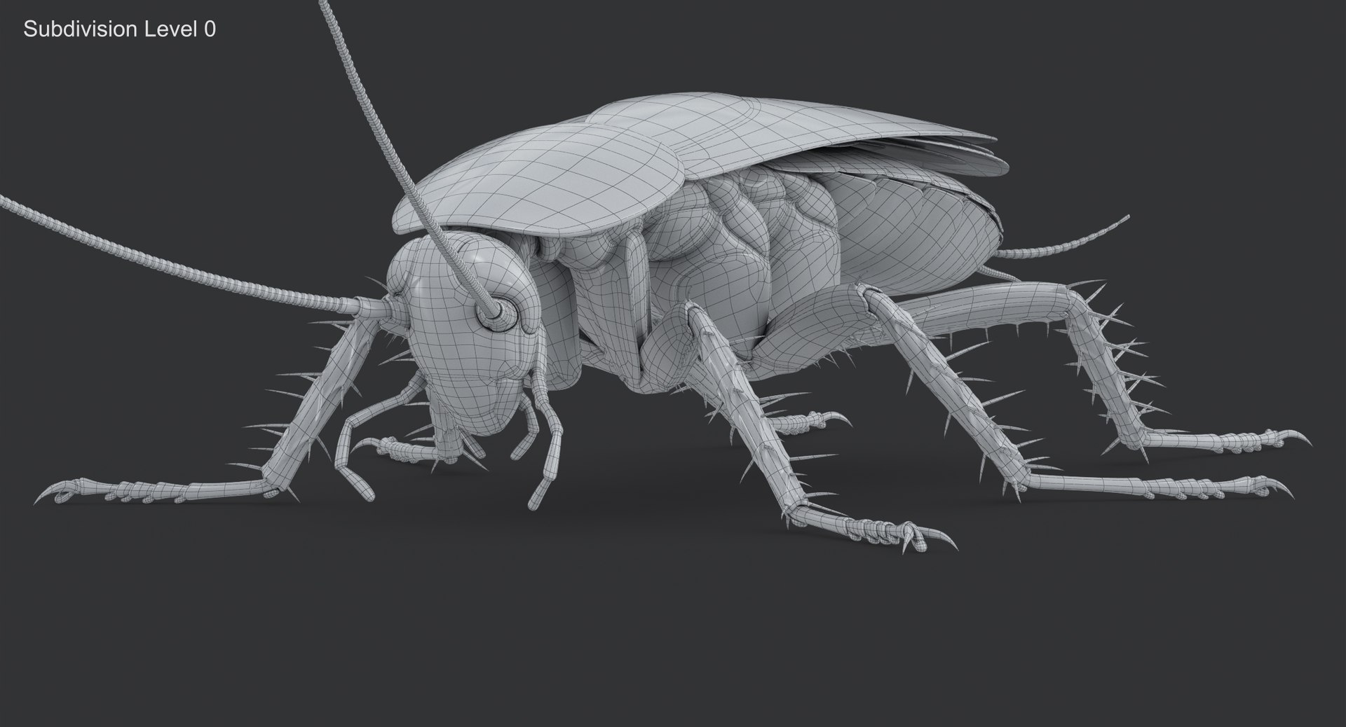 cockroach american 3D model https://p.turbosquid.com/ts-thumb/MZ/wWSOEr/Jz24Wlem/cockroach_american_00169/jpg/1499708393/1920x1080/fit_q87/aac7b627babc720cd19b1cb1bf475a9b4801f8b4/cockroach_american_00169.jpg