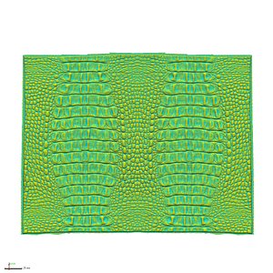 Crocodile leather