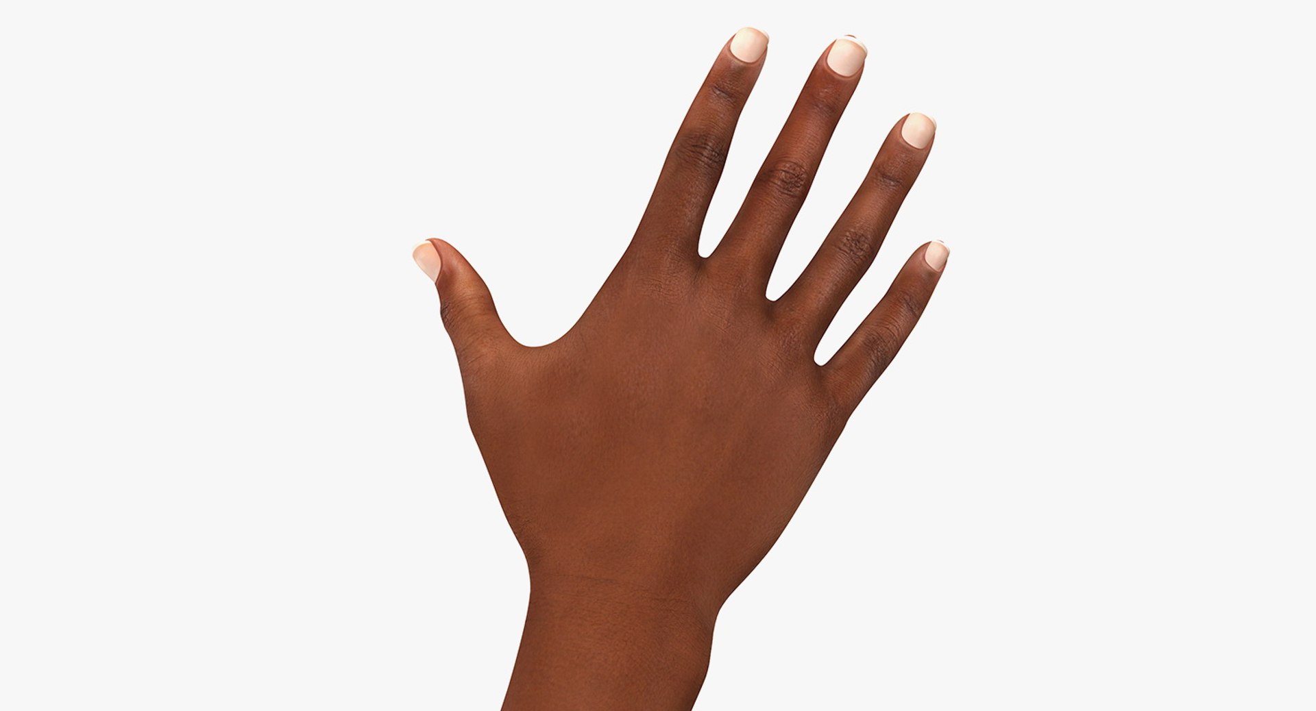 Asian/ Americas Female Hand Rigged 3D Model preview