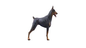 Doberman Dog Rigged 3D model
