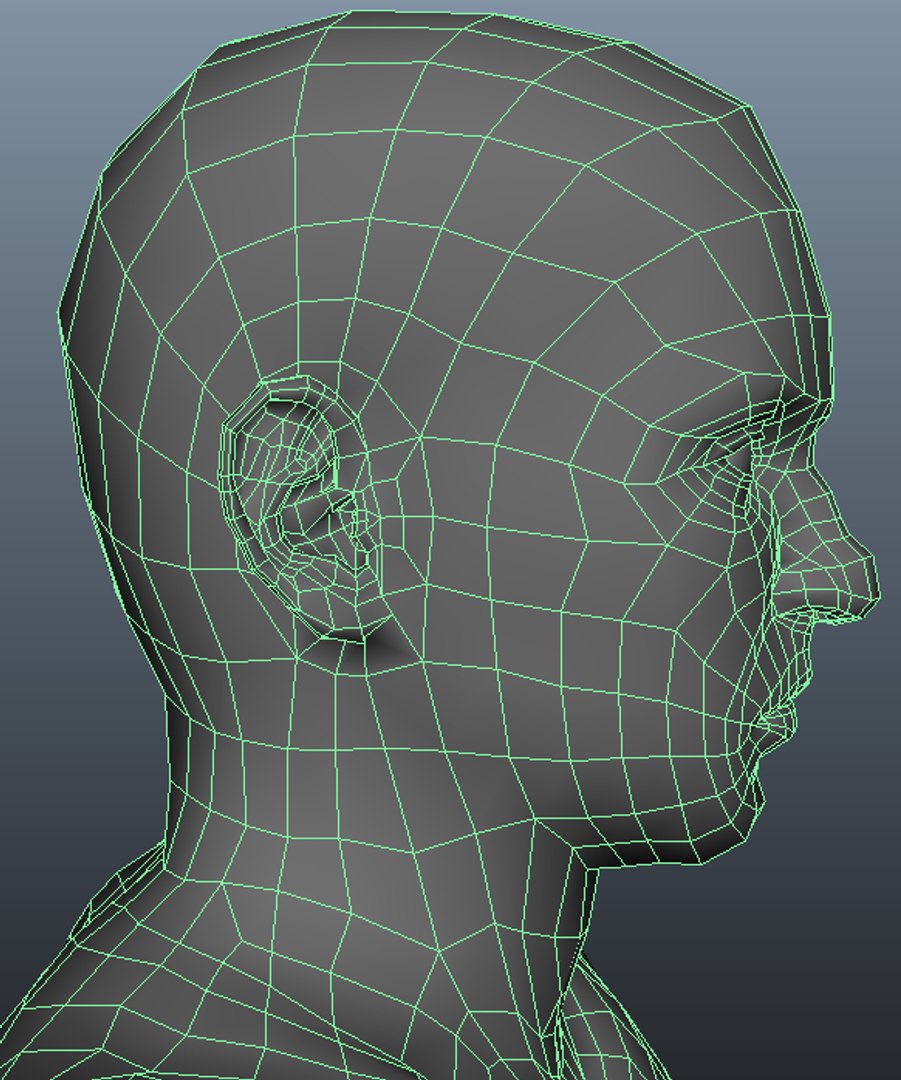 3d Nude Female Male Model