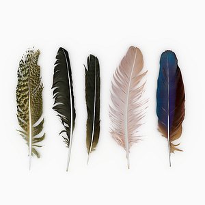 3D Feathers