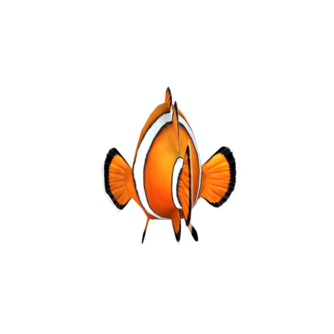 3d clownfish clown fish model https://p.turbosquid.com/ts-thumb/Ma/l2tP7w/1r7ycv6w/clownfish27/jpg/1385478012/1920x1080/fit_q87/631a568918650c0d58b3aac21ae561af4bba4bd6/clownfish27.jpg