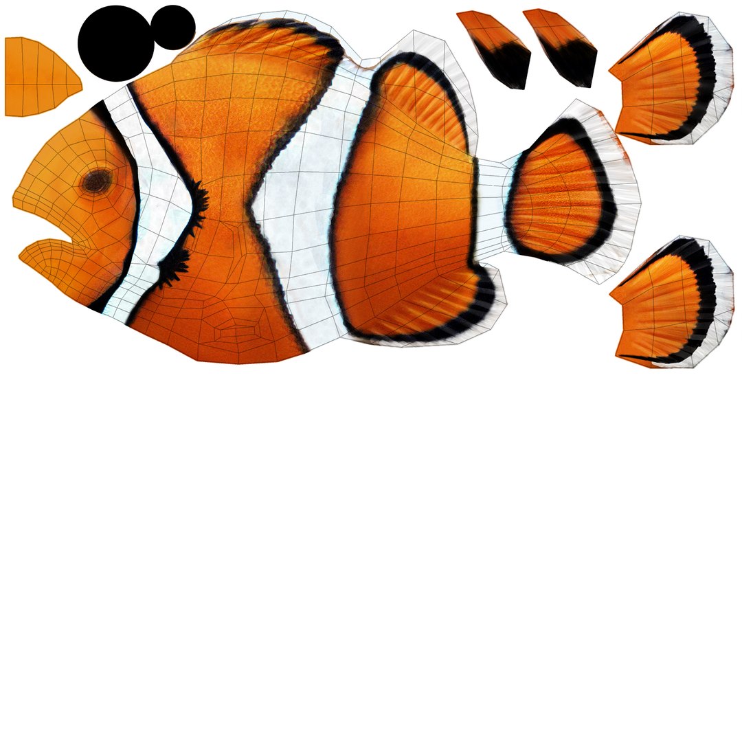 The Clownfish Avalon Series Waterproof PVC Transparent Self Design