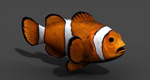 clownfish fish 3d obj
