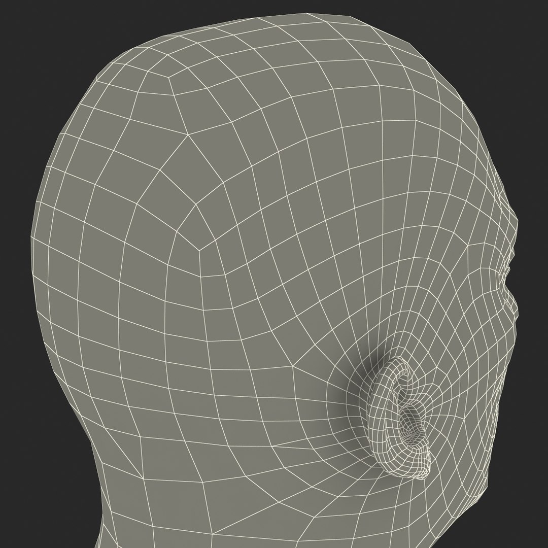 3d Model Male Head Hair 2